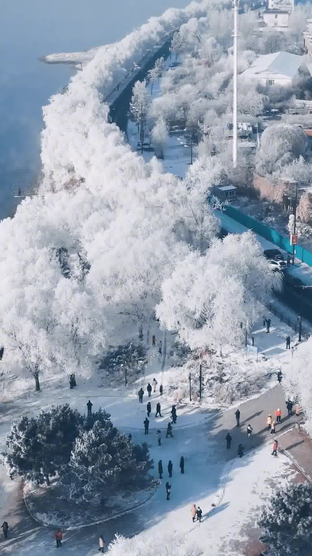 北国风光无限，吉林魅力独领风骚