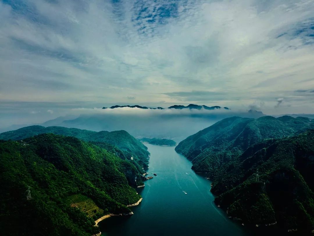 湖北精彩活动，致敬嘉宾，与观众共襄盛举