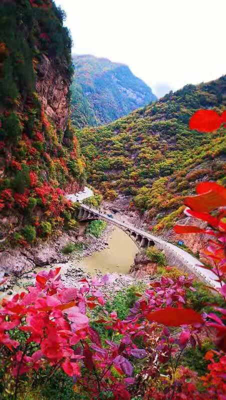 梦想起航之地,陕西学子在学习变革中绽放自信光彩